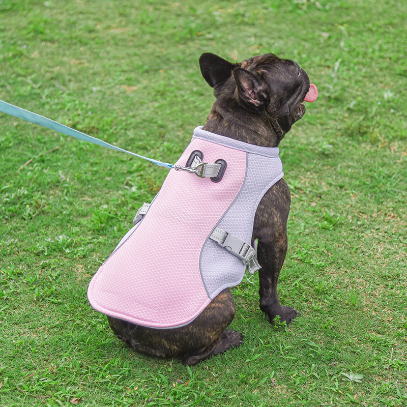 Pet Cooling Vest — Breathable Summer Comfort for Dogs