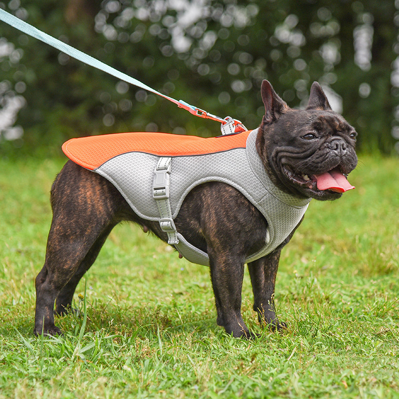 Pet Cooling Vest — Breathable Summer Comfort for Dogs