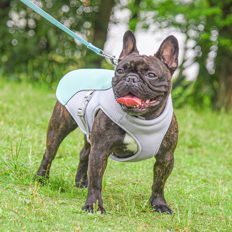 Pet Cooling Vest — Breathable Summer Comfort for Dogs